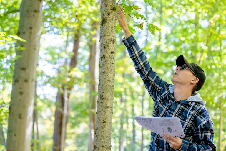 Student touches tree bark
