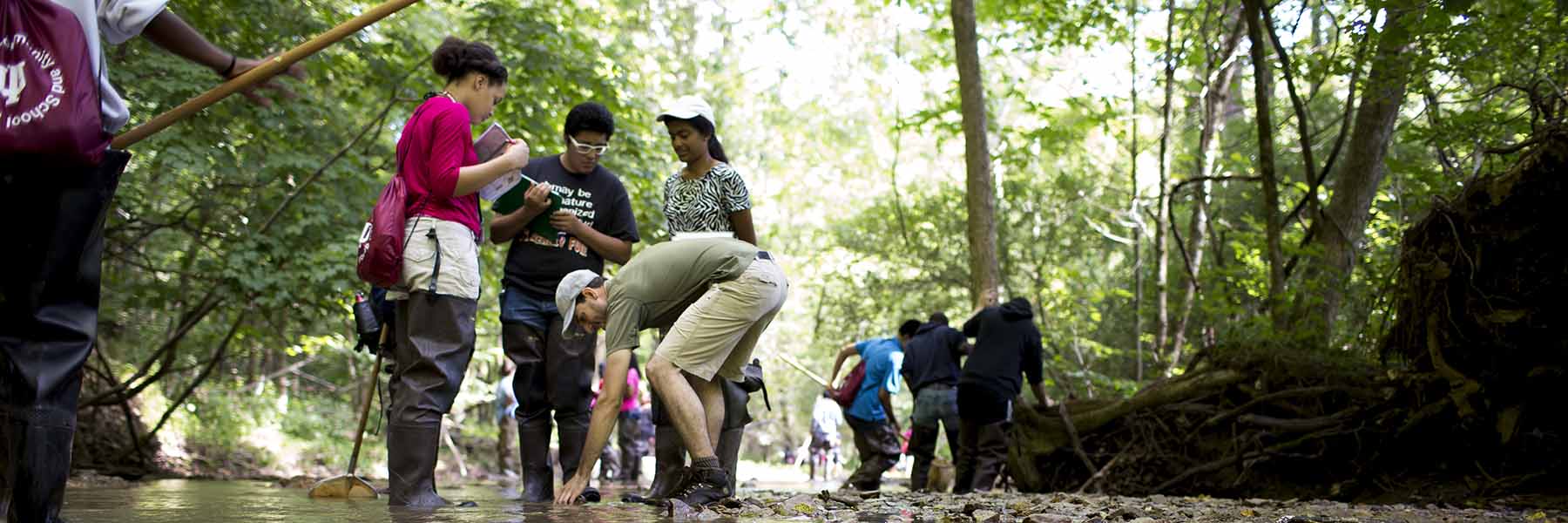 A group of students analyze life in a creek